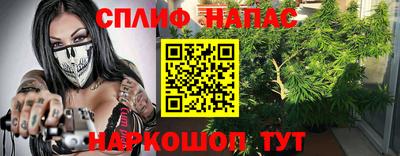 дмт Будённовск