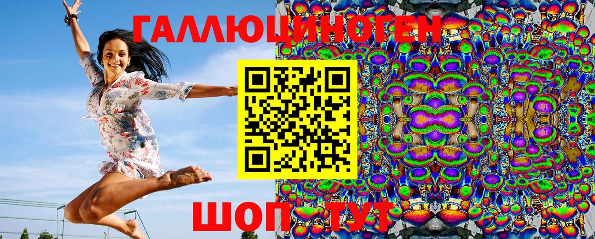 Псилоцибиновые грибы GOLDEN TEACHER  Псилоцибиновые грибы Magic Shrooms  цены   Новоалтайск  Вход с VPN 